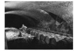 La cave en 1970 .jpg